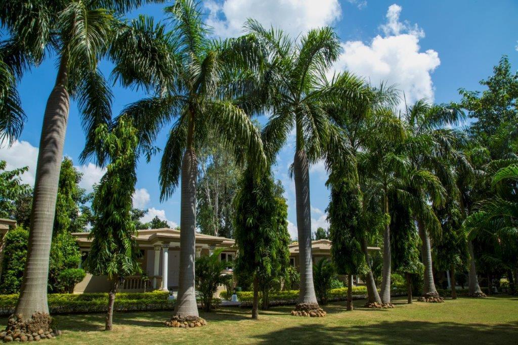 Tiger'S Den Resort Bandhavgarh National Park Экстерьер фото