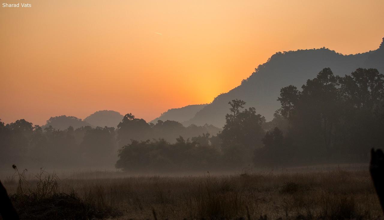 Tiger'S Den Resort Bandhavgarh National Park Экстерьер фото